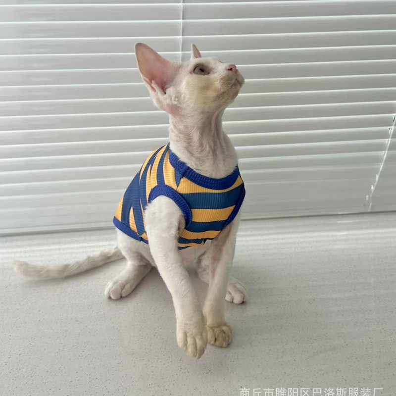 宠物服装工厂源头直销无毛猫衣服斯芬克斯背心高弹性跨境热卖款|undefined