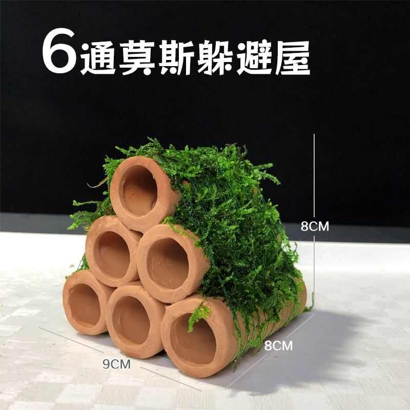 鱼缸造景莫斯树鱼缸树真树沉木水造景懒人造景无需底沙鱼缸摆件|undefined