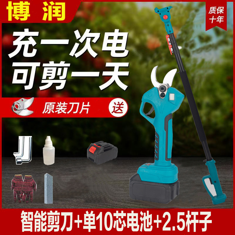 プロの国境を越えた電動剪定鋏、リチウム電池剪定鋏、庭の果樹の果実の枝はさみ、園芸の枝剪定電動工具|undefined