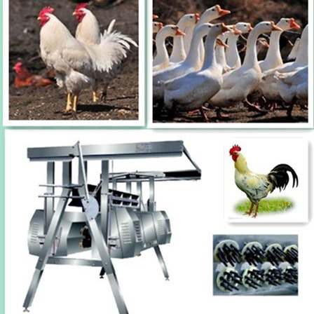 供应A字型立式鸡鸭鹅自动打毛机 胶棒配件及宰鸭宰大鹅脱毛去毛机