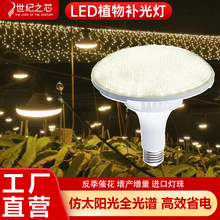 LEDȫ���Vֲ�����L����̫� �����߲��҃��̨�¼��m���Nֲ�a���