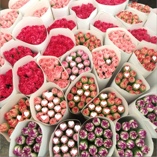 Wengkai Flowers Yunnan Direct Carnation Base Hydroponic Bouquet Kunming Birthday Mother's Day Nurses' Day