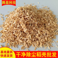 ɢ�b���� ���Ț����r�N�߲��B������|�����^о���ᄾƵ��Ț�