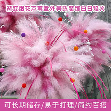 Сt¿u׃JȔcbɫJȔ