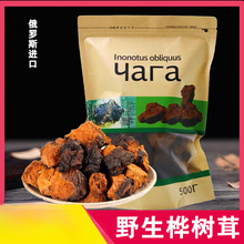 桦树茸俄罗斯进口野生华树茸白桦茸的功效和作用长白山