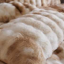 TAGL渐变色冬季加厚牛奶绒新款四件套珊瑚绒床单被套法莱绒床上用
