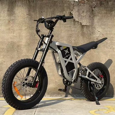 MINAL's overseas best-selling high-speed Elektrikli motosikletlər