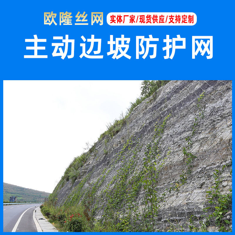 【边坡主动防护网】公路边坡柔性防护网 公园斜坡落石防护钢丝网