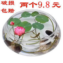 ˮ�ಣ����ƿ��������ɏ�ɻ��~�X�����B˯ɏ���û����~��ֲ������
