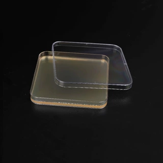 biopico® 2×YT琼脂平板（无抗生素），130×130mm方皿，10皿/包