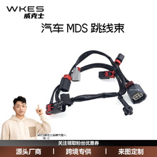 5148163AD��܇MDS�Ӿ������m��춵�����R˹�մ������