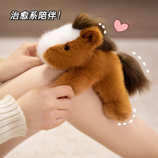 ���Ќ�С�R���ӹ���ë�q����R�꼪������Ф�R��ż�����������Ȍ�