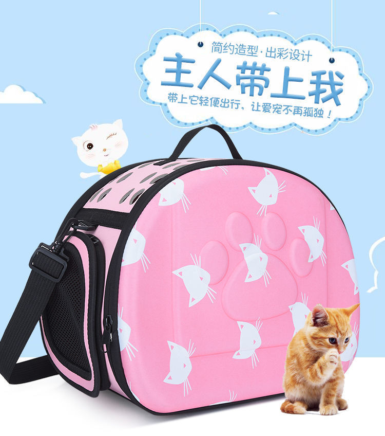 140d6e29-3b2f-4c75-9135-1994354910dc.jpe