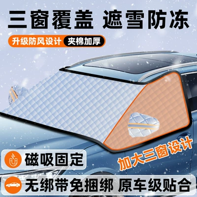 Car snow shield front shield: Car snow shield - three-window-snowshield