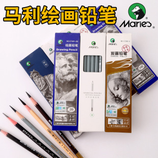 Marley Pencil Sketch Painting Pencil Artist Series Charcoal Soft Medium Hard Charcoal Painting For Junior Art Students