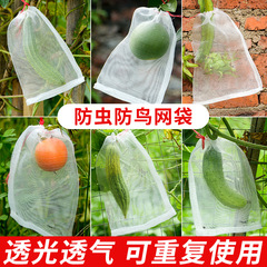 Pest-proof net, fruit and vegetable fly and bird exclusion bag, seed grape fruit bag filter net, nylon mesh bag