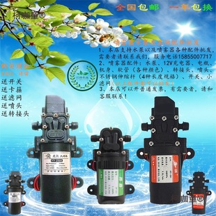 �S��ֱ�N12vˮ�� 늄Ӈ��F����Ĥ��΢��ϴ܇ˮ�ü���220v ��̫��