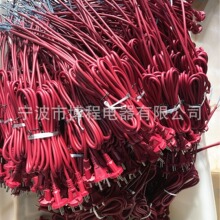 欧规两芯红色工具插欧式电源线欧标欧洲两芯三芯插头VDE10A250V