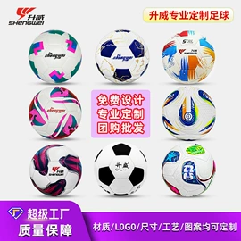 篮球;足球;羽毛球拍