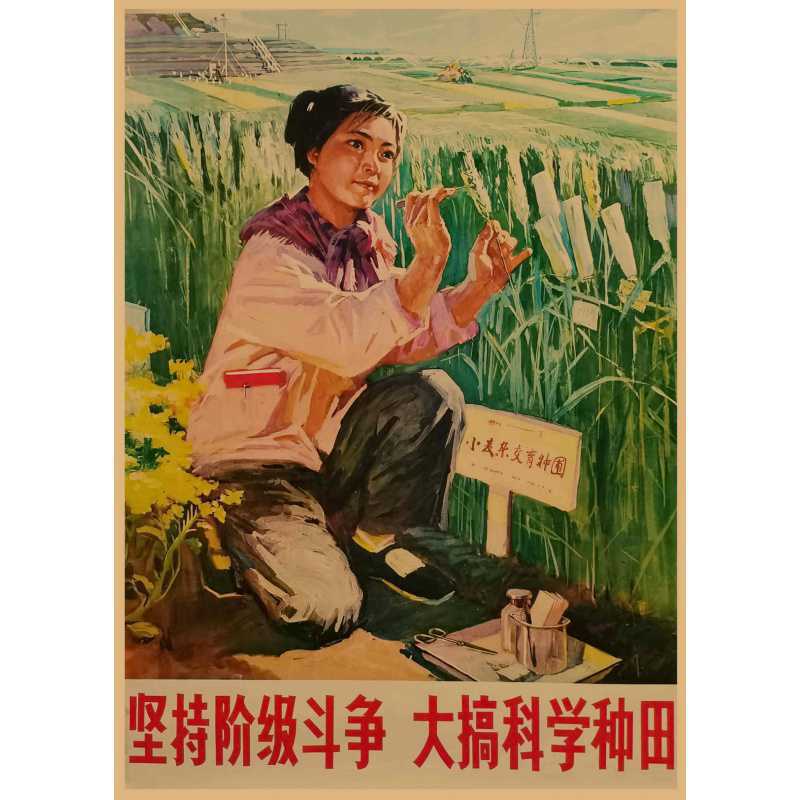西瓜紅 11 / 黃牛皮紙(無膠)30X42厘米