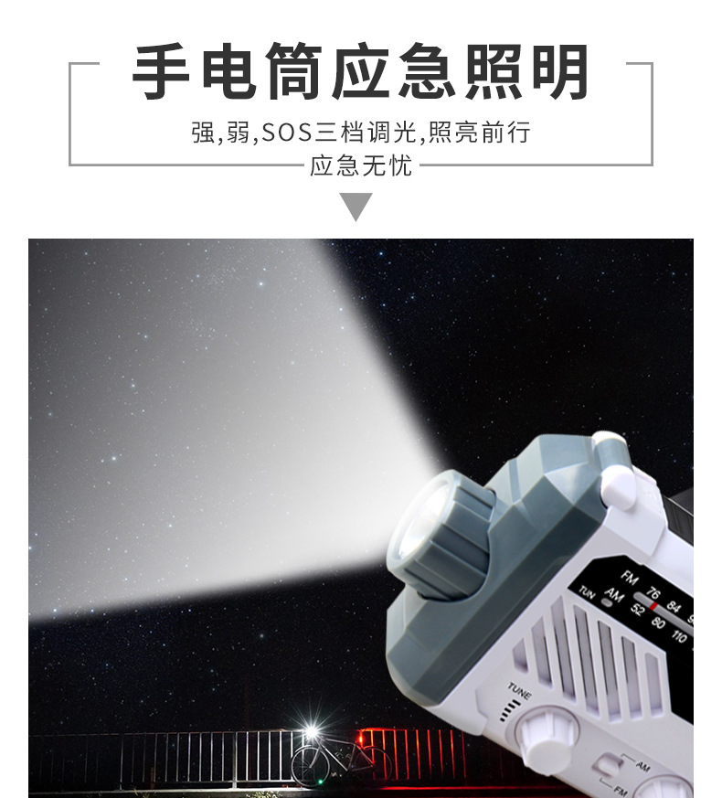 290 Chinese details page_06