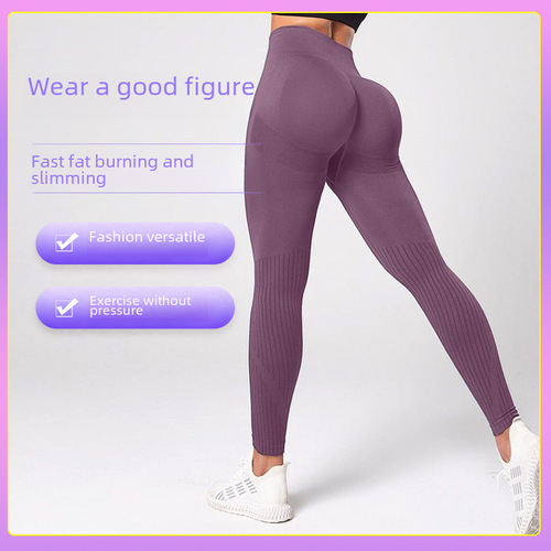 Women's Summer High-Waist Toning Yoga Pants with Pliability and Quick-Drying Training Running Tight Fitness Suit Set