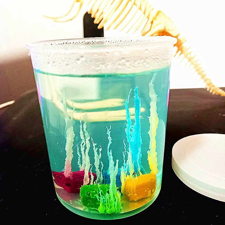 水中花园 儿童化学科学实验创客教具器材包科技小制作STEAM教育荐