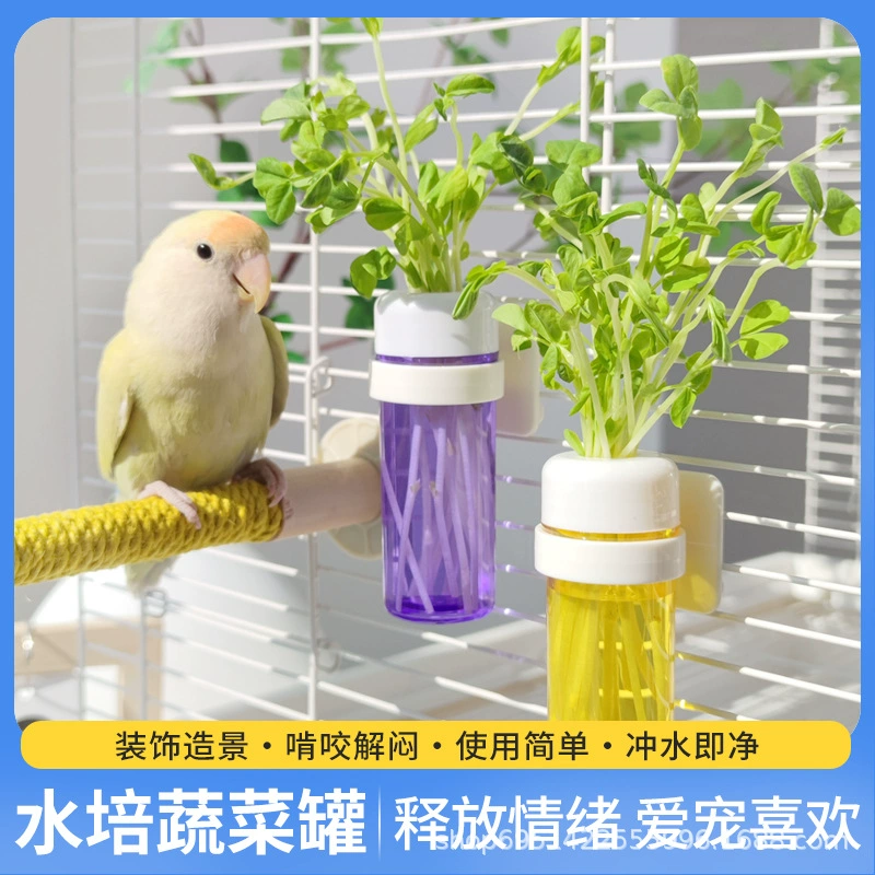 Птички овощи свежие банки попугай гидропонные овощные банки пион Xuanfeng фрукты и овощи корзина для хранения воды кормушка для домашних животных