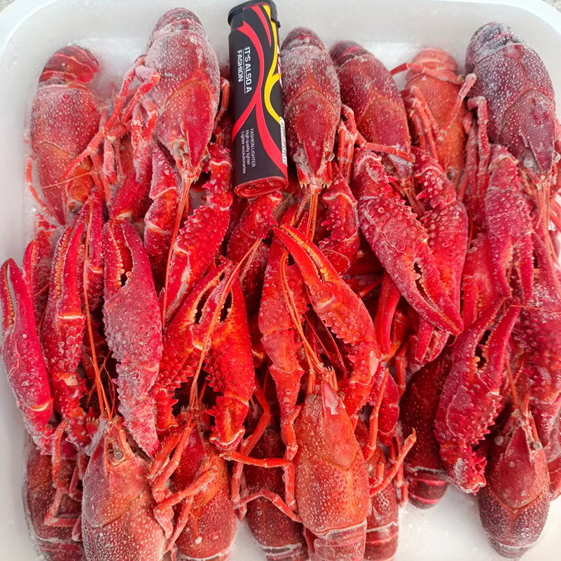 caaa4e6288af535c63ac776d97a5ac