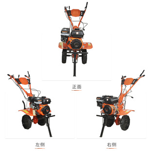 �����C�๦������΢���CС�������C�r�ø�����ˮ�����ؙC΢���C