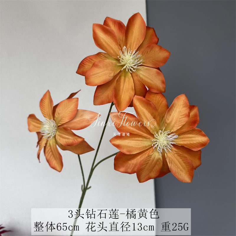 3 đầu kim cương hoa sen đá