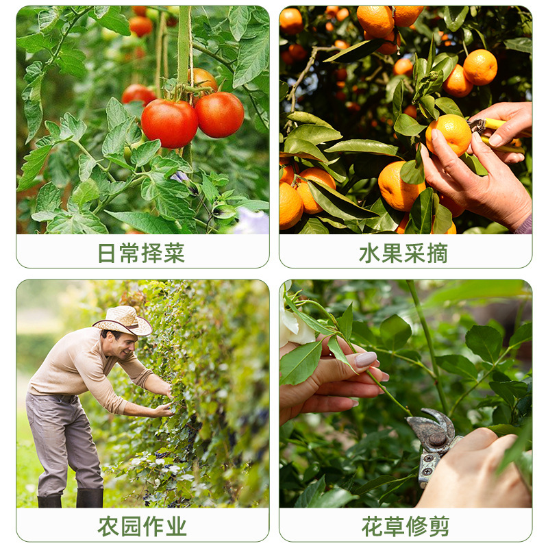 摘採小押刃親指刀ブドウのつまみ先キュウリ野菜の葉摘採器小押刃摘採小刀|undefined