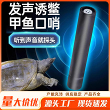 ���~���ÿ��� ���ӆ��T�������M�ڴ���឵������􆾽����^