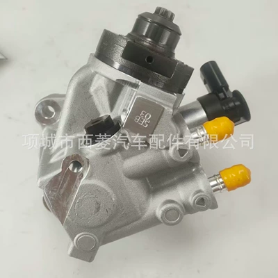 Diesel Injection Pump Yanacaq injektoru (Forsunka)