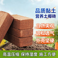 椰砖营养土种菜通用型椰糠 小包装耶砖土乌龟冬眠养花土壤种植土
