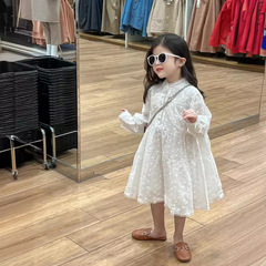 女寶寶公主裙2024春裝女童氣質仙美白色提花蕾絲邊立領襯裙連衣裙