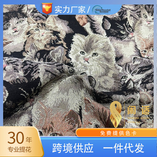 ���݄����Ứ؈�䲨˹؈ϵ��ɫ�����Ứ�����b����b����