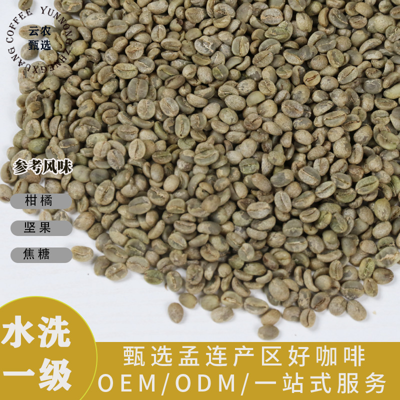 2026 1kg Washed Coffee Beans Catimor Berry a Yunnan Pu'Er Arabica 2026 1kg Washed Coffee Beans Catimor Berry a Yunnan Pu'Er Arabica