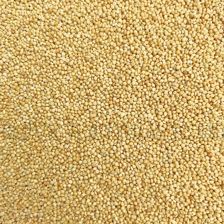 [Новое зерно] Корм Для волнистых попугаев Корм для птиц Xuanfeng Просо Пион Зерна Птичья оболочка Просо Желтая птица Птичий корм