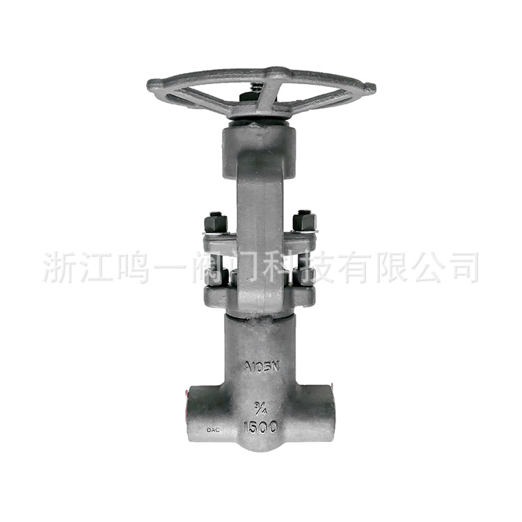 锻钢高压自密封闸阀 1500LB高压力自紧式自压密封承插焊闸阀 直销