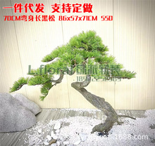 仿真松树大型实木装饰假雪松马尾松木雕造景70cm弯身长黑松摆件