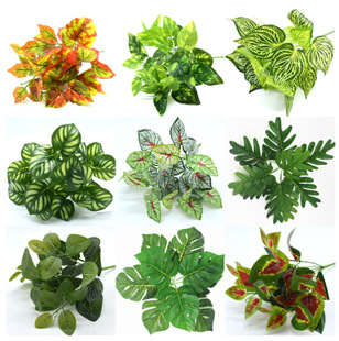 ֲ ϼٻ ֲ ^zָ~ ~ G} F؛ֱN