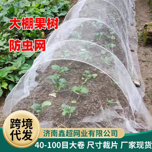 �羳 ������x�W���䌣�÷��x�W�S���r���߲˻��x���@���B�W