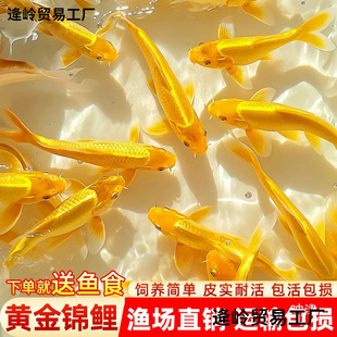 �S���\����ؔ�~�ԁ�ˮ���B�ͻ���B��ˮ�~С���~���^�p�~���~