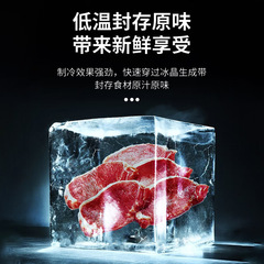 Commercial and Home Use Snowflake Fast Freeze Refrigerators Freezers Horizontal Freezers Large Kitchen Meat Freezers Ice Cream Freezers