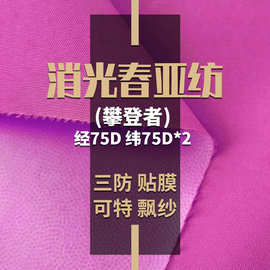 75D*150D全消光春亚纺(攀登者)复合科特飘纱做冲锋衣滑雪服面料