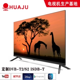 电视;液晶显示器;监视器