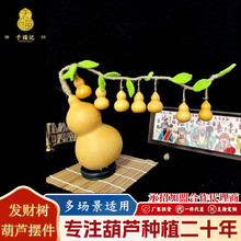 �lؔ�侫Ʒ���Jë���~Ƭ����w�Ҿ��b�Ʒ�S�ҬF؛���P�[��