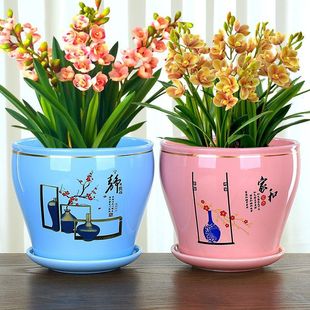 �F���p���մɻ����ߴ�͏d�����m�G�}�Gֲ�����������S���l