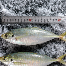 �|ɽ�u���B�Bֳ �����~��A�~ ���|��ā��֬�S�� ���rˮ�a��